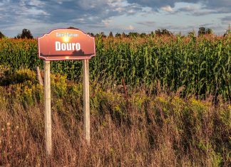Located in central Peterborough County along the Trent-Severn Waterway and with a population of around 7,600, the Township of Douro-Dummer features farmland, lakes, and diverse landscapes including drumlins and the Warsaw Caves. (Photo: Peterborough County)
