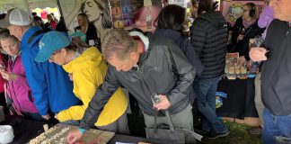 Attendees at the Great Canadian Cheese Festival at Fort Henry in Kingston in May 2025. (Photo: Great Canadian Cheese Festival / Facebook)