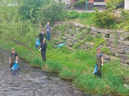 Donning hip waders and safety gear, staff from Engage Engineering collect garbage in and along the creek beside their downtown Peterborough office every spring, and plant native species along the banks of the creek. The efforts of the business are bringing wildlife back to the area. Pictured are Steven Dingman, Dominik Jedrzejewski, Logan Mattern, and Joshua Burke. (Photo courtesy of Engage Engineering)