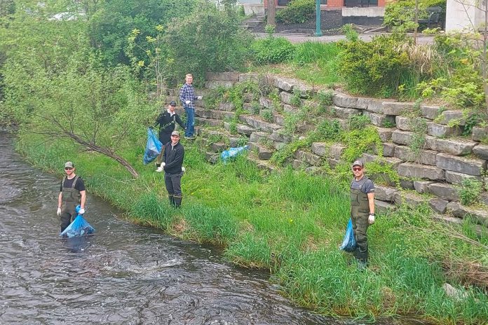Donning hip waders and safety gear, staff from Engage Engineering collect garbage in and along the creek beside their downtown Peterborough office every spring, and plant native species along the banks of the creek. The efforts of the business are bringing wildlife back to the area. Pictured are Steven Dingman, Dominik Jedrzejewski, Logan Mattern, and Joshua Burke. (Photo courtesy of Engage Engineering)