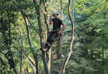 Matt Thornton brings over 15 years of industry experience to his company Thornton Tree Solutions, which provides tree pruning, cabling, removal and planting, as well as stump removal and storm clean-up across Peterborough, Kawartha Lakes, and surrounding areas. An ISA-certified arborist and ArborCanada-certified chainsaw technician instructor, Thornton has extensive experience responding to related emergencies and storm clean-up. Thornton and his team make safety and the tree's health and longevity a priority in every project. (Photo courtesy of Thornton Tree Solutions)