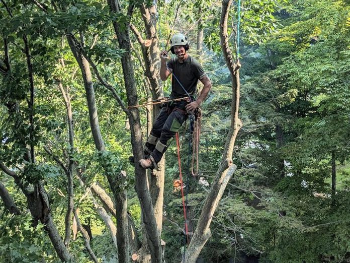 Matt Thornton brings over 15 years of industry experience to his company Thornton Tree Solutions, which provides tree pruning, cabling, removal and planting, as well as stump removal and storm clean-up across Peterborough, Kawartha Lakes, and surrounding areas. An ISA-certified arborist and ArborCanada-certified chainsaw technician instructor, Thornton has extensive experience responding to related emergencies and storm clean-up. Thornton and his team make safety and the tree's health and longevity a priority in every project. (Photo courtesy of Thornton Tree Solutions)