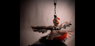 Circus, physical theatre, and visual artist Nicole Malbeuf is one of 17 Peterborough-area artists who have received a grant from Electric City Culture Council through the 2025 grants for individual artists program. Malbeuf is working on a children's story/art book adaptation of her 2021 live circus-theatre performance piece "A Hen Called Freedom" (pictured), a draft of which she will read from accompanied by projected images from the live show during Public Energy's "Rough Cuts #2" on March 13, 2026 at The Theatre On King in downtown Peterborough. (Photo courtesy of Public Energy Performing Arts)