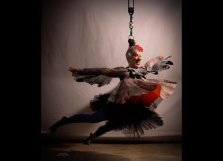 Circus, physical theatre, and visual artist Nicole Malbeuf is one of 17 Peterborough-area artists who have received a grant from Electric City Culture Council through the 2025 grants for individual artists program. Malbeuf is working on a children's story/art book adaptation of her 2021 live circus-theatre performance piece "A Hen Called Freedom" (pictured), a draft of which she will read from accompanied by projected images from the live show during Public Energy's "Rough Cuts #2" on March 13, 2026 at The Theatre On King in downtown Peterborough. (Photo courtesy of Public Energy Performing Arts)