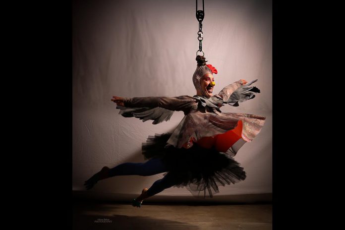 Circus, physical theatre, and visual artist Nicole Malbeuf is one of 17 Peterborough-area artists who have received a grant from Electric City Culture Council through the 2025 grants for individual artists program. Malbeuf is working on a children's story/art book adaptation of her 2021 live circus-theatre performance piece "A Hen Called Freedom" (pictured), a draft of which she will read from accompanied by projected images from the live show during Public Energy's "Rough Cuts #2" on March 13, 2026 at The Theatre On King in downtown Peterborough. (Photo courtesy of Public Energy Performing Arts)
