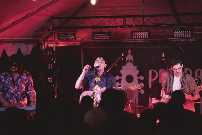 Tristan Konkle performing with Tapes in Motion on the Pavilion Stage at the 2025 Peterborough Folk Festival. (Photo: Luke Best)