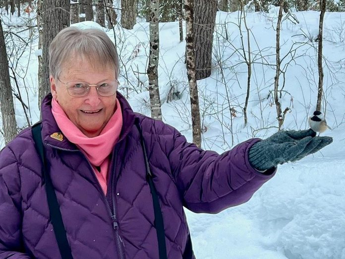 Peterborough Field Naturalists president Sue Paradisis feeds a nonmigratory black-capped chickadee during a birder excursion to Petroglyphs Provincial Park in North Kawartha in Feburary 2026. Birding has become an increasingly popular pastime over the past decade, with membership in the Peterborough Field Naturalists doubling during the pandemic lockdowns and remaining consistent in recent years. (Photo courtesy of Peterborough Field Naturalists)