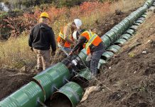 Turtle Guardians, a project of The Land Between charity, has designed, installed, and tested all-new ecopassages at four locations in Haliburton County and Peterborough County to mitigate turtle road mortality. (Photo courtesy of The Land Between)