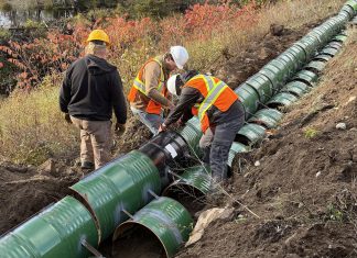Turtle Guardians, a project of The Land Between charity, has designed, installed, and tested all-new ecopassages at four locations in Haliburton County and Peterborough County to mitigate turtle road mortality. (Photo courtesy of The Land Between)