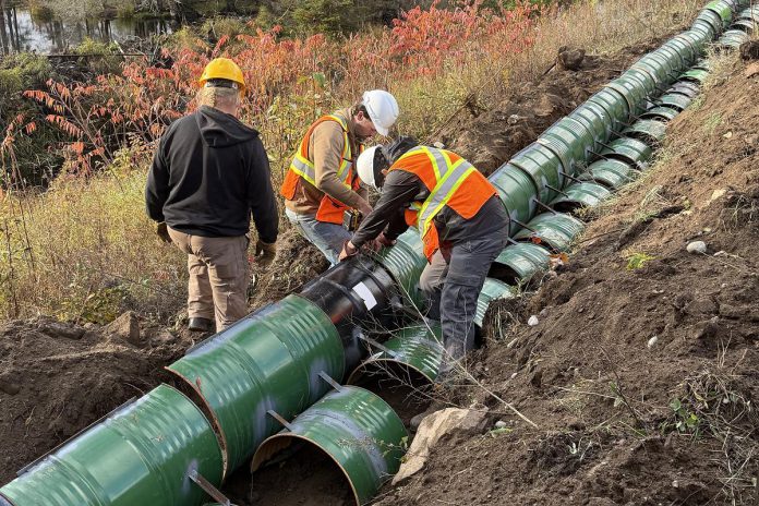 Turtle Guardians, a project of The Land Between charity, has designed, installed, and tested all-new ecopassages at four locations in Haliburton County and Peterborough County to mitigate turtle road mortality. (Photo courtesy of The Land Between) Turtle Guardians, a project of The Land Between charity, has designed, installed, and tested all-new ecopassages at four locations in Haliburton County and Peterborough County to mitigate turtle road mortality. (Photo courtesy of The Land Between)