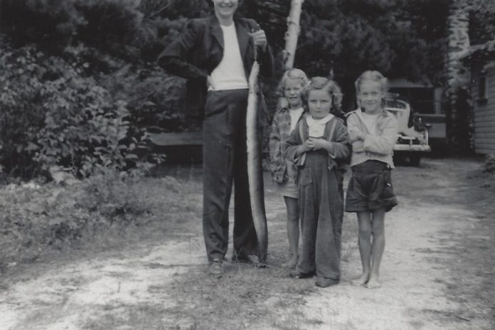 Now endangered, the American eel was once a widespread species found between the Canadian Shield and the St. Lawrence Lowlands. With support from the Ministry of the Environment, Conservation and Parks, The Land Between has been documenting the ecological and cultural significance of the American eel. The organization also considers it a symbol of what could happen to turtles in Ontario. (Photo: Frank Dillman)