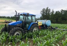 The Local Advantage with Peterborough County: Woodleigh Farms is sowing the seeds for a sustainable and prosperous agricultural future Located in the Township of Cavan Monaghan, Woodleigh Farms uses sustainable and regenerative practices to farm corn, wheat, soy, and oat, produce maple syrup, and operate a passive greenhouse and market garden. The sixth-generation family farm is piloting an innovative project that converts unmarketable forest biomass into compost and organic soil amendments to improve the health of soil for generations to come. To connect with local buyers, Woodleigh Farms will be participating in the Kawartha Local Food Wholesale program supported by Peterborough County. (Photo courtesy of Woodleigh Farms)