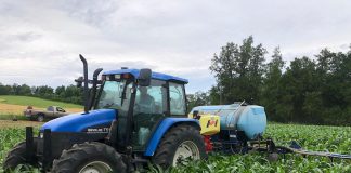 The Local Advantage with Peterborough County: Woodleigh Farms is sowing the seeds for a sustainable and prosperous agricultural future Located in the Township of Cavan Monaghan, Woodleigh Farms uses sustainable and regenerative practices to farm corn, wheat, soy, and oat, produce maple syrup, and operate a passive greenhouse and market garden. The sixth-generation family farm is piloting an innovative project that converts unmarketable forest biomass into compost and organic soil amendments to improve the health of soil for generations to come. To connect with local buyers, Woodleigh Farms will be participating in the Kawartha Local Food Wholesale program supported by Peterborough County. (Photo courtesy of Woodleigh Farms)