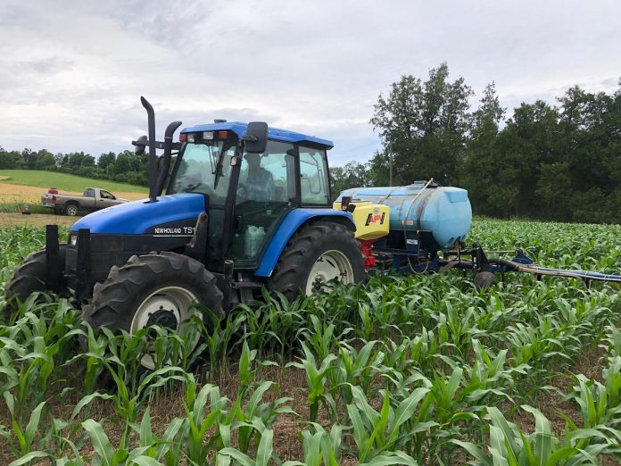 Located in the Township of Cavan Monaghan, Woodleigh Farms uses sustainable and regenerative practices to farm corn, wheat, soy, and oat, produce maple syrup, and operate a passive greenhouse and market garden. The sixth-generation family farm is piloting an innovative project that converts unmarketable forest biomass into compost and organic soil amendments to improve the health of soil for generations to come. To connect with local buyers, Woodleigh Farms will be participating in the Kawartha Local Food Wholesale program supported by Peterborough County. (Photo courtesy of Woodleigh Farms)