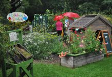 Help GreenUP reimagine child’s play at Ecology Park in Peterborough and inspire a new generation of nature lovers A previous iteration of The Children's Garden at Ecology. Although the activities shown no longer exist due to the outdoor elements and use over time, GreenUP is fundraising toward new features that will attract more children and families to the park to engage in nature-based play. (Photo: GreenUP)