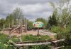 GreenUP seeks community support to reimagine the Children’s Garden at Ecology Park in Peterborough A naturalized playscape was the latest addition to The Children's Garden, installed in Ecology Park in 2023. GreenUP is looking for help from the community to extend the current play space and revive environmental learning opportunities for children and families. (Photo: GreenUP)