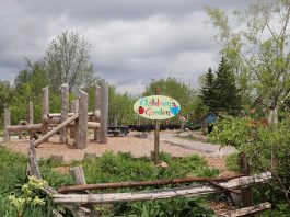 A naturalized playscape was the latest addition to The Children's Garden, installed in Ecology Park in 2023. GreenUP is looking for help from the community to extend the current play space and revive environmental learning opportunities for children and families. (Photo: GreenUP)
