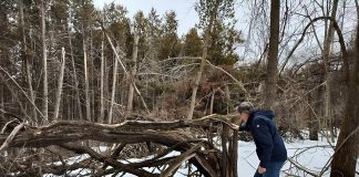Standing in his yard backing onto a forest, Peterborough resident Lyn Jones assesses his property for fire risk. Climate events such as last spring's ice storm and summer drought have resulted in properties being littered with branches, brush, and other debris. These can create "fuel ladders," a pathway for wildfires to climb from the ground into the forest canopy. (Photo: Jackie Donaldson / GreenUP)