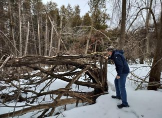 Standing in his yard backing onto a forest, Peterborough resident Lyn Jones assesses his property for fire risk. Climate events such as last spring's ice storm and summer drought have resulted in properties being littered with branches, brush, and other debris. These can create "fuel ladders," a pathway for wildfires to climb from the ground into the forest canopy. (Photo: Jackie Donaldson / GreenUP)