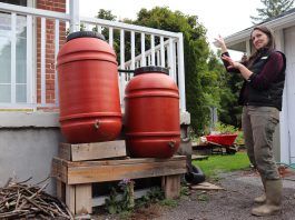 Installing a rain barrel is a simple way to collect water for outdoor use while reducing the amount of water entering local storm sewers. Rain barrels can be connected in a series to detain and collect even more runoff. GreenUP landscape program manager Hayley Goodchild demonstrates how to link rain barrels together at a residential property. (Photo: Jessica Todd / GreenUP)