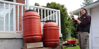 Installing a rain barrel is a simple way to collect water for outdoor use while reducing the amount of water entering local storm sewers. Rain barrels can be connected in a series to detain and collect even more runoff. GreenUP landscape program manager Hayley Goodchild demonstrates how to link rain barrels together at a residential property. (Photo: Jessica Todd / GreenUP)