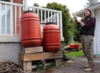 Installing a rain barrel is a simple way to collect water for outdoor use while reducing the amount of water entering local storm sewers. Rain barrels can be connected in a series to detain and collect even more runoff. GreenUP landscape program manager Hayley Goodchild demonstrates how to link rain barrels together at a residential property. (Photo: Jessica Todd / GreenUP)