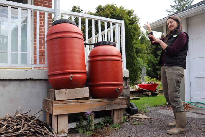 Installing a rain barrel is a simple way to collect water for outdoor use while reducing the amount of water entering local storm sewers. Rain barrels can be connected in a series to detain and collect even more runoff. GreenUP landscape program manager Hayley Goodchild demonstrates how to link rain barrels together at a residential property. (Photo: Jessica Todd / GreenUP)