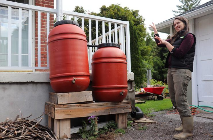 Installing a rain barrel is a simple way to collect water for outdoor use while reducing the amount of water entering local storm sewers. Rain barrels can be connected in a series to detain and collect even more runoff. GreenUP landscape program manager Hayley Goodchild demonstrates how to link rain barrels together at a residential property. (Photo: Jessica Todd / GreenUP)