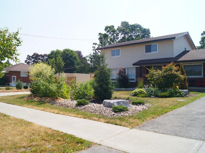 Overflow from a rain barrel can be directed into a rain garden, which can absorb a much larger volume of runoff. This garden is designed to hold 1.75 cubic metres of water, the equivalent of eight rain barrels. (Photo: Yvonne Hollandy / GreenUP)
