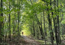 Slow down and mindfully engage with nature with forest bathing The Japanese practice of forest bathing, or shinrin-yoku, offers simple but profound ways to connect to nature which benefits personal wellbeing through emotional awareness and self-regulation. It also enhances one's ability and commitment to promote environmental and climate justice and to show up in effective, realistic, collaborative, and creative ways. (Photo: Beth McKinlay)