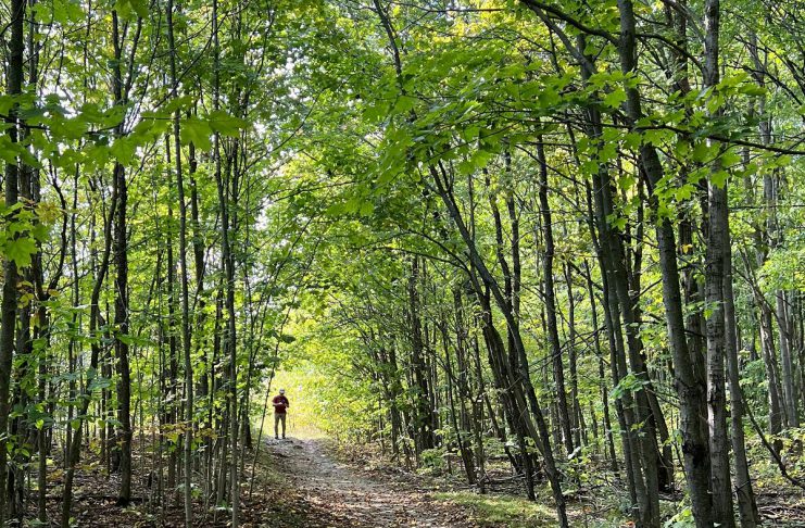 The Japanese practice of forest bathing, or shinrin-yoku, offers simple but profound ways to connect to nature which benefits personal wellbeing through emotional awareness and self-regulation. It also enhances one's ability and commitment to promote environmental and climate justice and to show up in effective, realistic, collaborative, and creative ways. (Photo: Beth McKinlay)