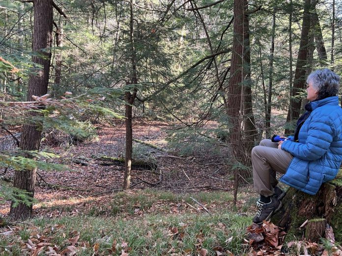 An educator and volunteer with For Our Grandchildren and the Kids Help Phone Crisis Text Line, Beth McKinlay is a trained forest and nature therapy guide. (Photo courtesy of Beth McKinlay)