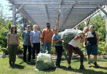 GreenUP volunteers participate in Restoration Wednesday, a series of events that invites individuals to learn about a variety of ecological restoration topics. For more than 30 years, GreenUP has been encouraging Peterborough-area residents to take local climate action through a number of hands-on programming and nature-based learning opportunities. The non-profit charitable organization is hosting an Earth Day Open House on April 22, 2026 from 4 to 6 p.m., inviting community members to drop in and connect with GreenUP staff, learn about programming, and get involved. (Photo: GreenUP)