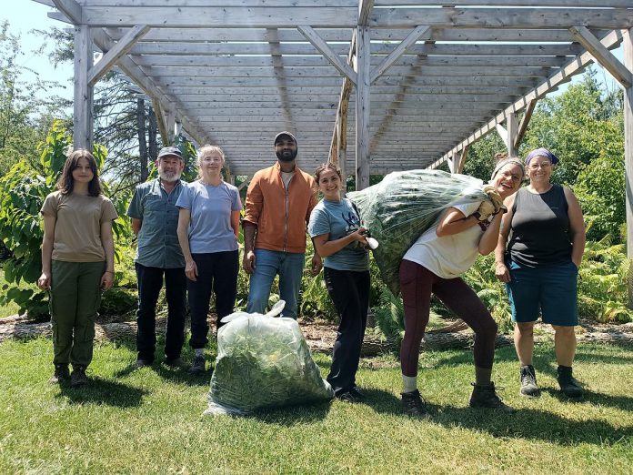 GreenUP volunteers participate in Restoration Wednesday, a series of events that invites individuals to learn about a variety of ecological restoration topics. For more than 30 years, GreenUP has been encouraging Peterborough-area residents to take local climate action through a number of hands-on programming and nature-based learning opportunities. The non-profit charitable organization is hosting an Earth Day Open House on April 22, 2026 from 4 to 6 p.m., inviting community members to drop in and connect with GreenUP staff, learn about programming, and get involved. (Photo: GreenUP)