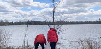 Two of the 35-plus volunteers who participated in an Earth Day clean-up of Rogers Cove park in Peterborough on April 19, 2026, picking up litter along the Little Lake waterfront and in the park. The clean-up was organized by Becca Durbin, owner of Salix Environmental Consulting, in partnership with Clean Up Peterborough and the City of Peterborough. (Photo: Bethan Bates / kawarthaNOW)