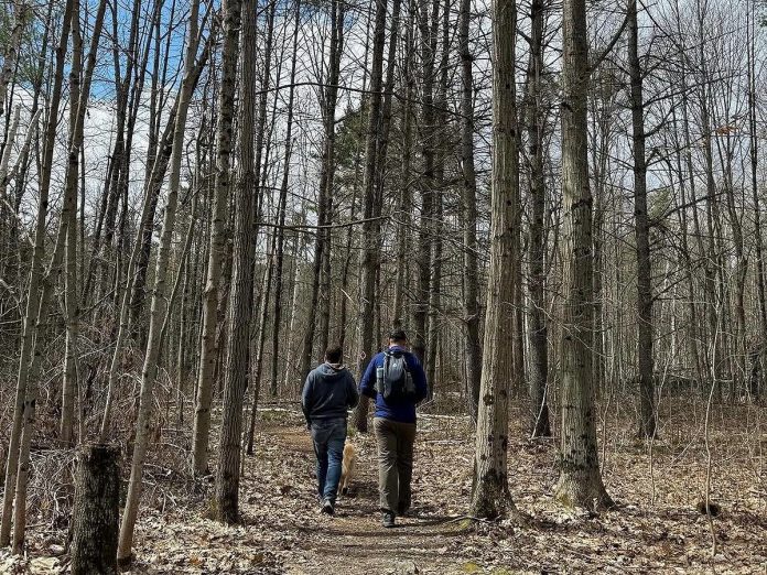 While the 100 acres of forest at Viamede Resort in Woodview are maintained for the recreational use of guests, the property has been designated as an Other Effective Area-Based Conservation Measure (OECM) by the federal government because it still maintains conservation outcomes. The land provides a mixture of forest, rock barren, and wetland areas that provide habitat for a range of wildlife and plant life.  (Photo courtesy of Ontario Conservation Accelerator) 