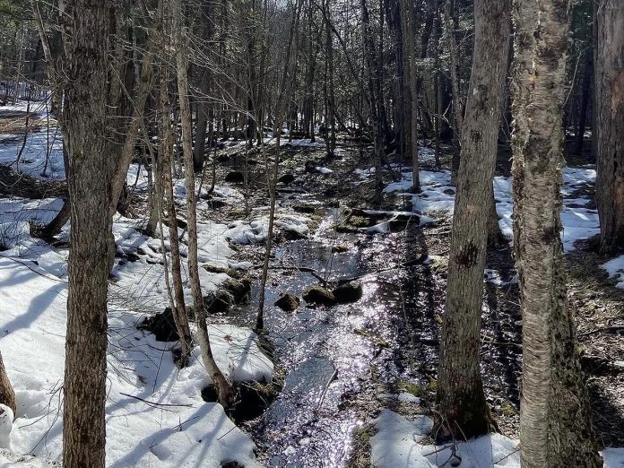 In the nature strategy launched by Prime Minister Mark Carney in March 2026, Other Effective Area-Based Conservation Measure (OECM) play a significant role in reaching Canada's commitment to protect 30 per cent of the country's land and water by 2030. The strategy outlines the intention for OECMs to complement protected areas, with OECMs contributing to an additional eight per cent of the total protected lands. (Photo courtesy of Ontario Conservation Accelerator)