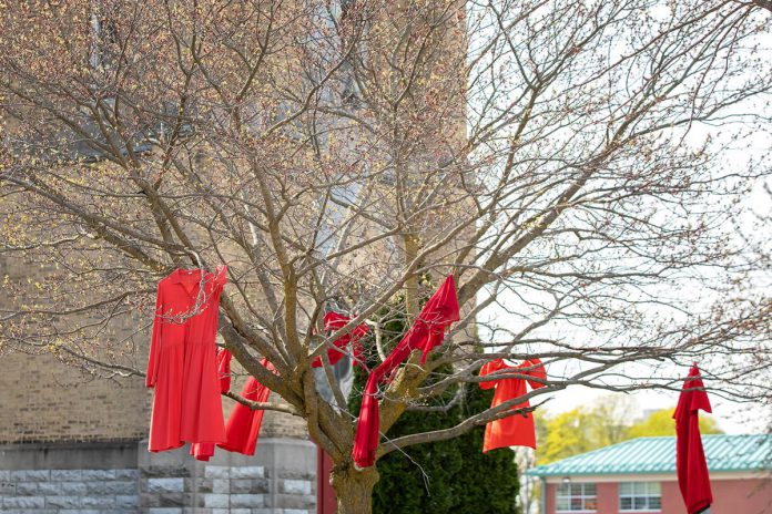 Red dresses representing missing and murdered Indigenous women at an event to commemorate Red Dress Day at Peterborough City Hall on May 5, 2026. (Photo: Jordan Lyall / kawarthaNOW)