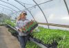 Amanda O'Rourke brings nearly 20 years of growing experience to Belmont Farmstead, a farm-based nursery located just outside of Havelock in the Township of Havelock-Belmont-Methuen. In January, O'Rourke purchased a 27-year-old family-run seed company business also based in Havelock, one of many growth opportunities made possible in part by agricultural programming supported by Peterborough County. (Photo courtesy of Belmont Farmstead)