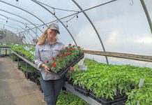 Amanda O'Rourke brings nearly 20 years of growing experience to Belmont Farmstead, a farm-based nursery located just outside of Havelock in the Township of Havelock-Belmont-Methuen. In January, O'Rourke purchased a 27-year-old family-run seed company business also based in Havelock, one of many growth opportunities made possible in part by agricultural programming supported by Peterborough County. (Photo courtesy of Belmont Farmstead)