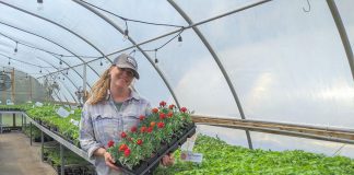 Amanda O'Rourke brings nearly 20 years of growing experience to Belmont Farmstead, a farm-based nursery located just outside of Havelock in the Township of Havelock-Belmont-Methuen. In January, O'Rourke purchased a 27-year-old family-run seed company business also based in Havelock, one of many growth opportunities made possible in part by agricultural programming supported by Peterborough County. (Photo courtesy of Belmont Farmstead)