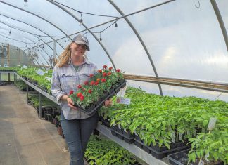Amanda O'Rourke brings nearly 20 years of growing experience to Belmont Farmstead, a farm-based nursery located just outside of Havelock in the Township of Havelock-Belmont-Methuen. In January, O'Rourke purchased a 27-year-old family-run seed company business also based in Havelock, one of many growth opportunities made possible in part by agricultural programming supported by Peterborough County. (Photo courtesy of Belmont Farmstead)