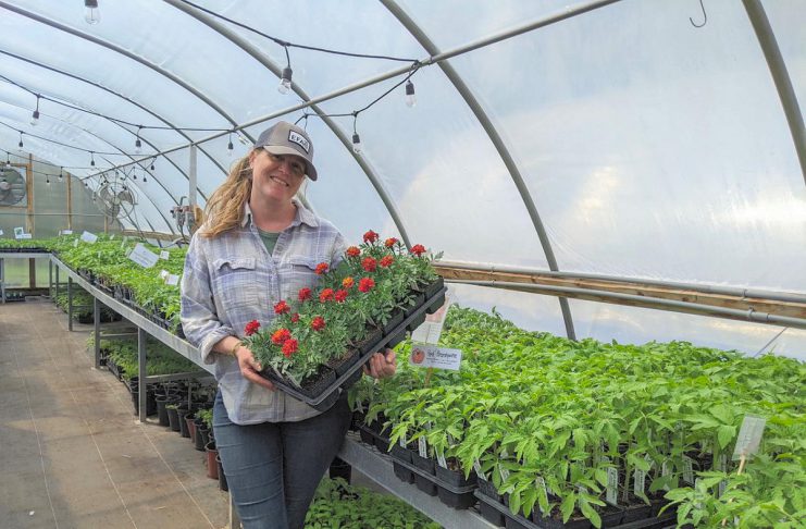 Amanda O'Rourke brings nearly 20 years of growing experience to Belmont Farmstead, a farm-based nursery located just outside of Havelock in the Township of Havelock-Belmont-Methuen. In January, O'Rourke purchased a 27-year-old family-run seed company business also based in Havelock, one of many growth opportunities made possible in part by agricultural programming supported by Peterborough County. (Photo courtesy of Belmont Farmstead)