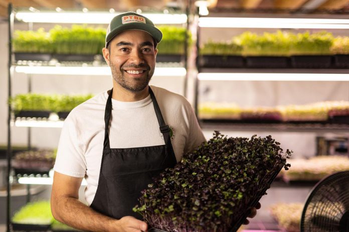 Matt Anderson is the founder of Chemong City Greens in Peterborough, an indoor vertical farm that grows nutritious and organic microgreens year round. To help expand his retail and wholesale customer base, Anderson is a member of Kawartha Choice FarmFresh and participates in the Kawartha Local Food Wholesale Program. Both economic development initiatives are supported by Peterborough County. (Photo courtesy of Chemong City Greens)