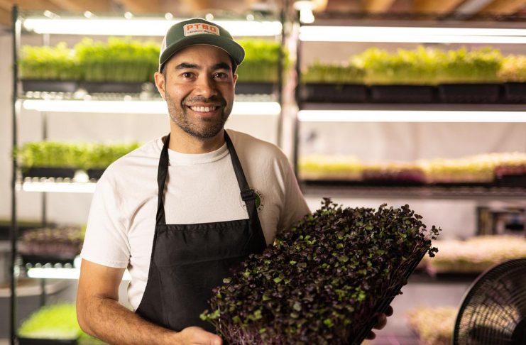 The Local Advantage with Peterborough County: Chemong City Greens reaching more local buyers through agricultural programs Matt Anderson is the founder of Chemong City Greens in Peterborough, an indoor vertical farm that grows nutritious and organic microgreens year round. To help expand his retail and wholesale customer base, Anderson is a member of Kawartha Choice FarmFresh and participates in the Kawartha Local Food Wholesale Program. Both economic development initiatives are supported by Peterborough County. (Photo courtesy of Chemong City Greens)