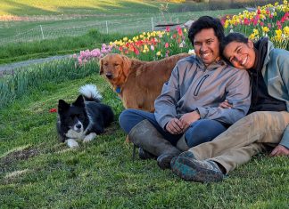 Garreth Dias and Jesvyl Dsilva with their dogs Lexie and Leo near the tulip patch on their 50-acre farm near Rice Lake south of Bailieboro. In 2021, the couple sold their Oakville condo and moved to northern Northumberland County despite not having any farming experience. Since then, Dias and Dsilva have been raising chickens and growing food on Eyra Estate and has seen a huge demand for their tulip agri-tourism experience where they invite people learn about farm life. (Photo courtesy of Garreth Dias and Jesvyl Dsilva)