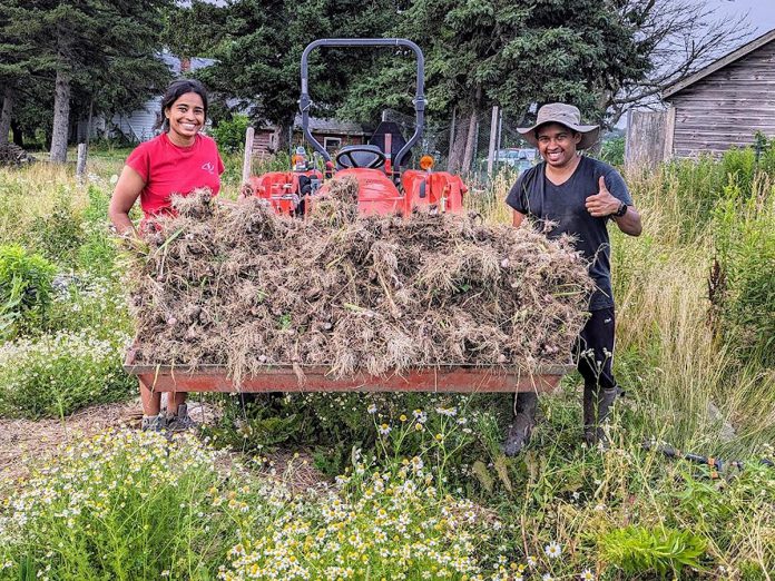 Husband-and-wife Jesvyl Dsilva and Garreth Dias ditched living in a condo in Oakville to buy a 50-acre property in northern Northumberland County where they could learn to live off the land. Since then, they continue to jump in and learn through trial and error while growing produce sustainably at Eyra Estate and humanely caring for their animals. (Photo courtesy of Garreth Dias and Jesvyl Dsilva)