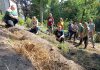 GreenUP volunteers pose for a photo to showcase the end product of a landscape contouring workshop in fall 2025 as part of GreenUP's Restoration Wednesdays Volunteer Stewardship event series. After creating swales and berms, it's beneficial to mulch the berms to protect the exposed soil from the sun and wind. Woodchips, straw, dried leaves, or any other seedless light organic matter will do the trick. (Photo: Christina Balint / GreenUP)