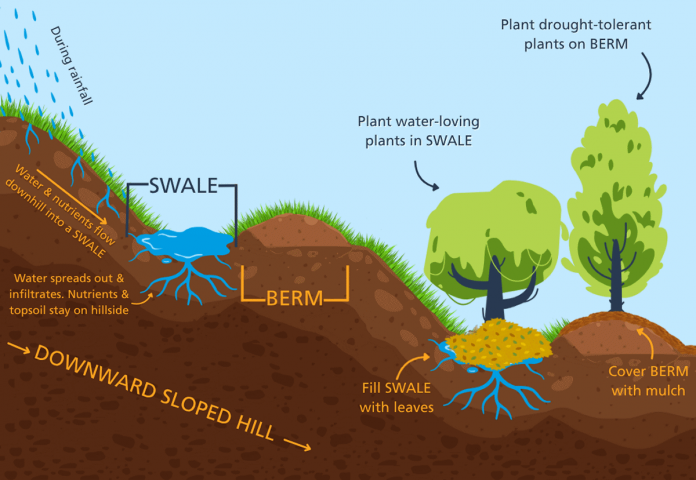 This illustration shows the side view of a slope that has been contoured with swales and berms, including where the water and nutrients travel and what can be planted where. (Illustration: Ainsley Eppel / GreenUP)