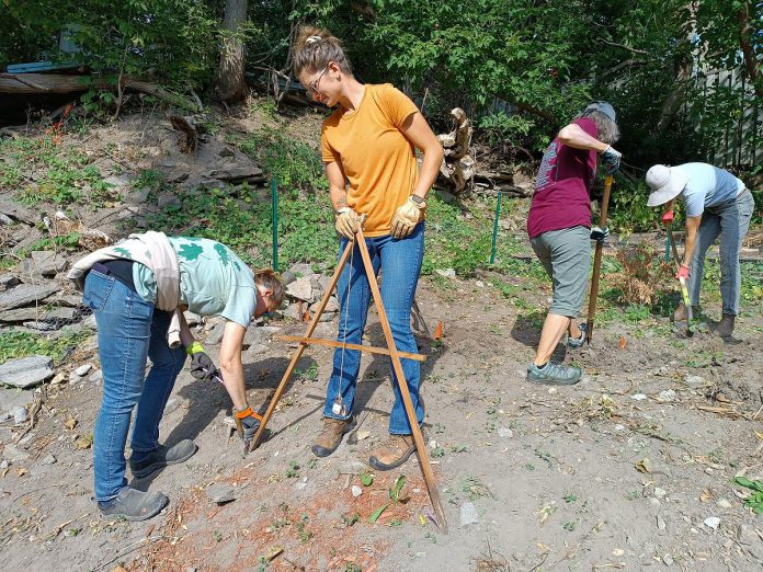 GreenUP volunteers with an A-frame during a GreenUP Restoration Wednesdays Volunteer Stewardship landscape contouring workshop in the fall of 2025. An A-frame is a tool used to mark a level line across a sloping yard when contouring a landscape, and can be simply made using spare wood or sticks for the frame and a rock or an old gym lock as the weight at the end of the string. (Photo: Christina Balint / GreenUP)
